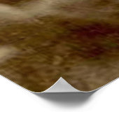 下呂仁茂1904 ポスター (角)