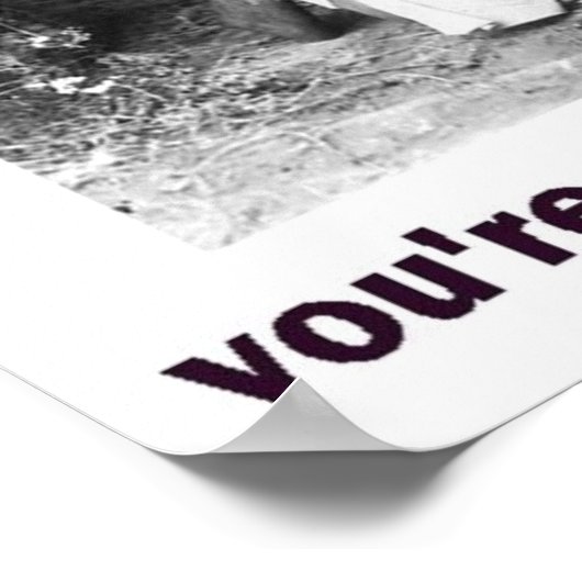 下呂芋 ポスター (角)