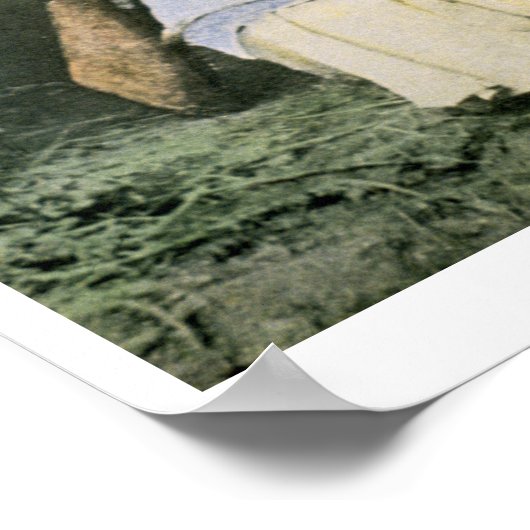 下呂芋(色写真) ポスター (角)