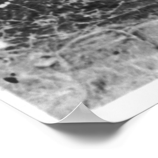 下呂芋[1886] ポスター (角)