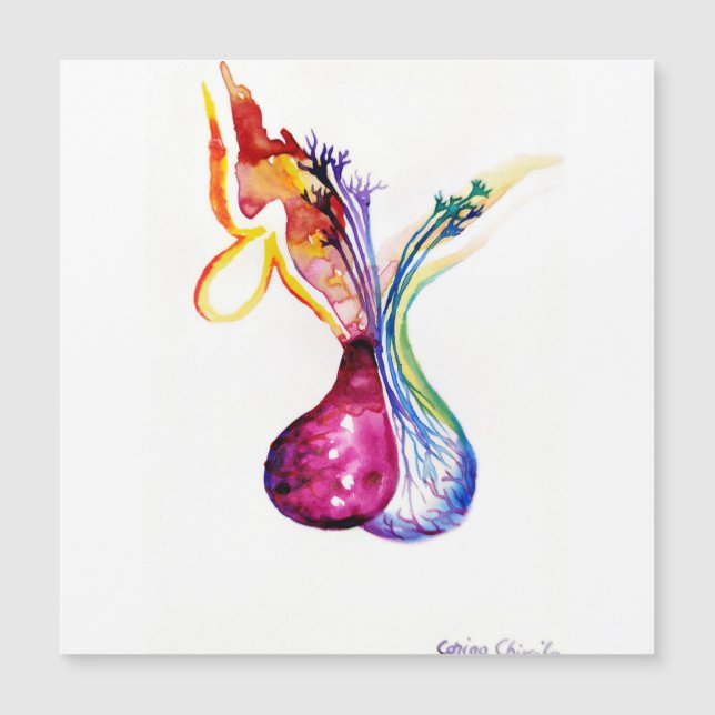 下垂体構造 (正面)