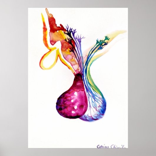 下垂体構造 ポスター (正面)