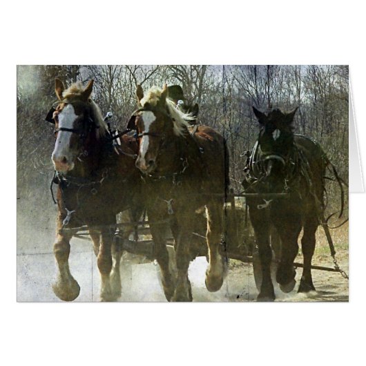 下書きの作業 (正面横)