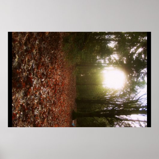 下林 ポスター (正面)