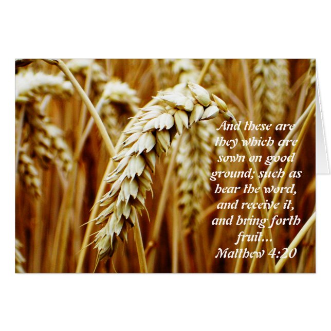 下水カードのパレ空白のブル (正面横)