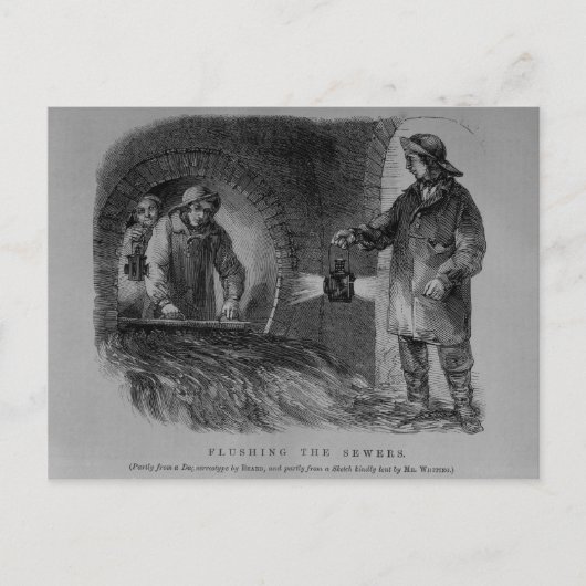 下水管をフラッシュする ポストカード (正面)