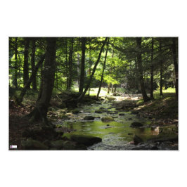 下流フォトプリント フォトプリント           