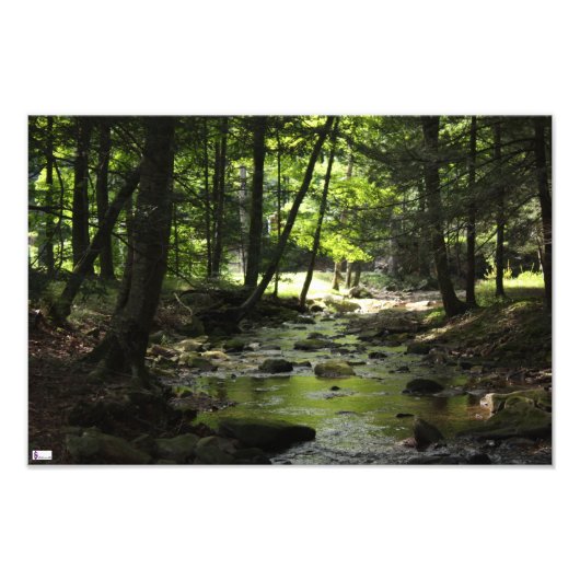 下流フォトプリント フォトプリント            (正面)