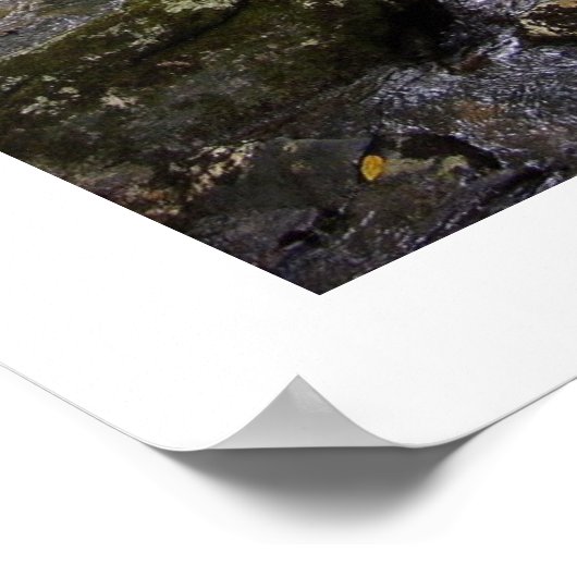 下流 ポスター (角)