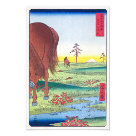 下総国小金原 | ひろしげ | フォトプリント