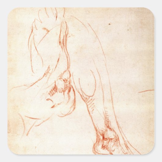 下肢の勉強と足 スクエアシール (正面)