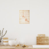 下肢の勉強と足 ポスター (キッチン)