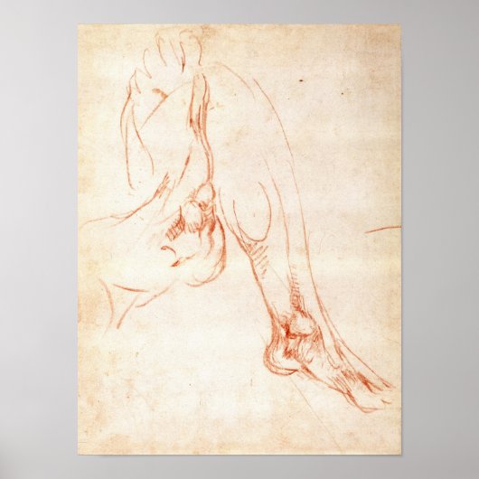 下肢の勉強と足 ポスター (正面)