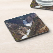 下部滝イエローストーン コースター (左側)