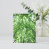 下面図からの森林の木 ポストカード (スタンド正面)