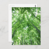 下面図からの森林の木 ポストカード (正面/裏面)