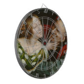 不一致愛好家（Quentin Massys著） ダーツボード (正面左)