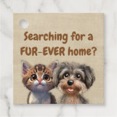 不動産仲介業者ポップ・アートのバイペットワンちゃん子猫の獣医 フェイバータグ (正面)