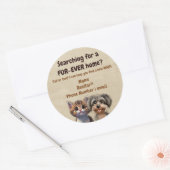 不動産仲介業者ポップ・アートのバイペットワンちゃん子猫の獣医 ラウンドシール (封筒)