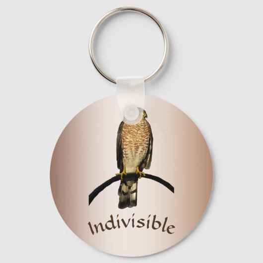 不可分茶色のタカの鳥キーチェーン キーホルダー (正面)