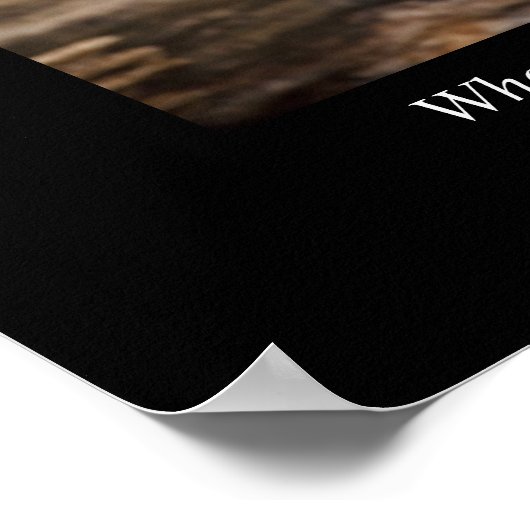 不可能なことなんて言わない引用文 ポスター (角)