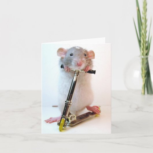 不可能なことはない カード (正面)