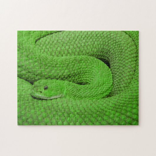 不可能なパズル – グリーンスネーク ジグソーパズル (横)