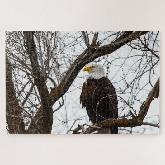 不可能なパズル – ハリアエータス ジグソーパズル (横)