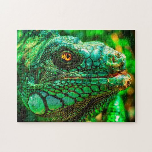 不可能なパズル- Iguane ジグソーパズル (横)