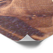 不吉なビクトリアン髪のスタイルを持つ少年 ポスター (角)