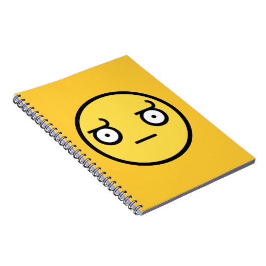 不同意の顔の見て下さい ノートブック (右側)