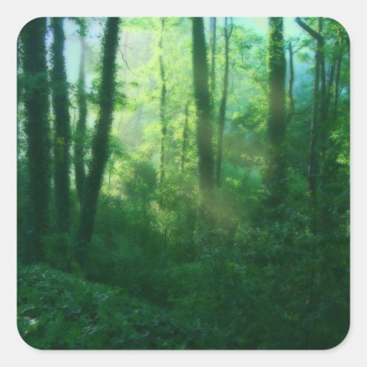 不妊治療のシール スクエアシール (正面)