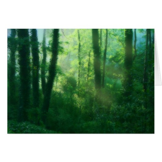 不妊症用カード (正面横)