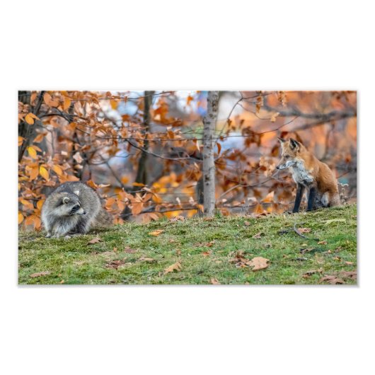 不安な出会い フォトプリント            (正面)