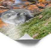 不安な出会い フォトプリント            (角)