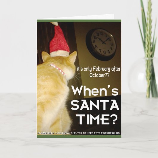 不安な猫のクリスマスカー飲ド シーズンカード (正面)