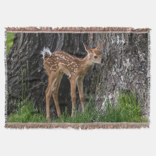 不安定な脚を見る スローブランケット (正面)