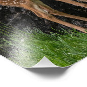 不安定な脚を見る フォトプリント            (角)