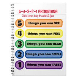 不安・ストレス5感の接地技術 ノートブック