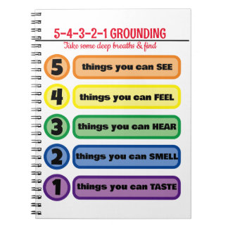 不安・ストレス5感の接地技術 ノートブック