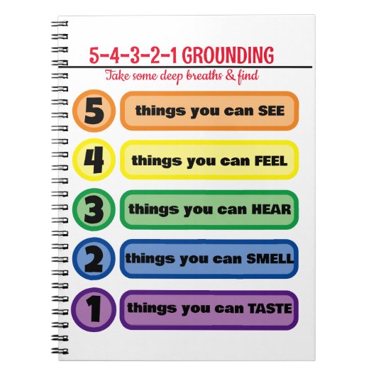 不安・ストレス5感の接地技術 ノートブック (正面)