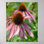 不完全さ ポスター (正面)