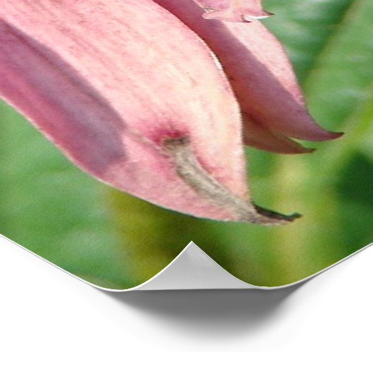 不完全さ ポスター (角)