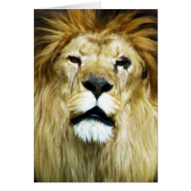 不完全な王 (正面)