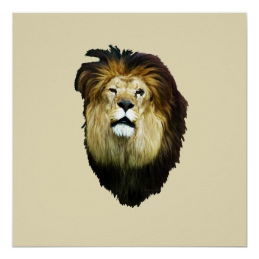 不完全な王 ポスター (正面)