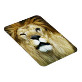 不完全な王 マグネット (右側)