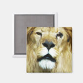 不完全な王 マグネット (正面/裏面)