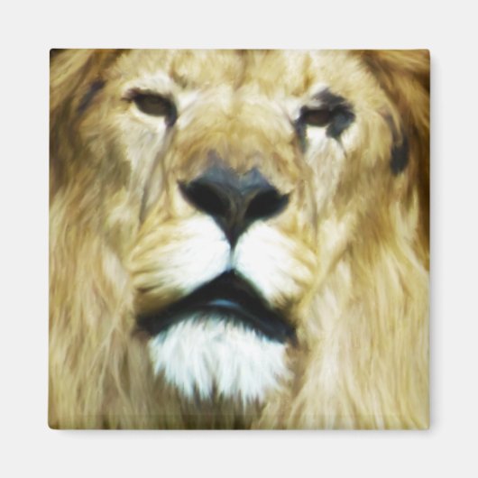 不完全な王 マグネット (正面)