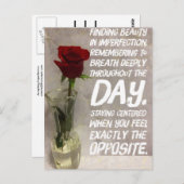 不完全性の受け入れ – Red Roseはがき ポストカード (正面/裏面)