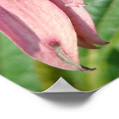 不完全 ポスター (角)